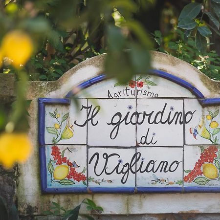 Agriturismo Il Giardino Di Vigliano Massa Lubrense Dış mekan fotoğraf