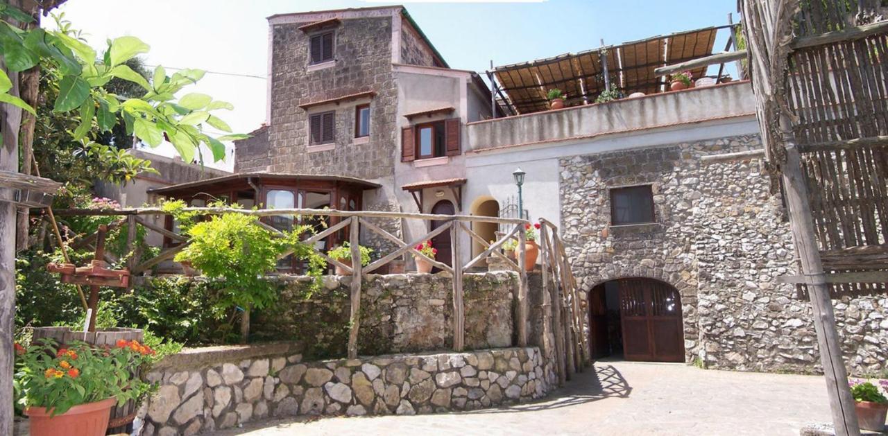 Agriturismo Il Giardino Di Vigliano Massa Lubrense Dış mekan fotoğraf
