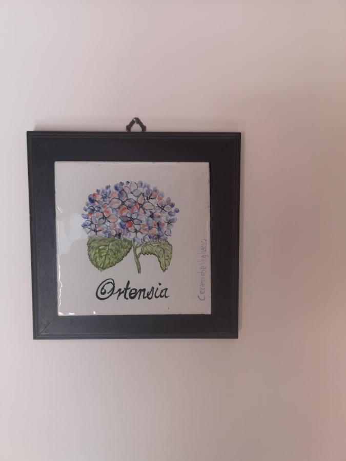 Agriturismo Il Giardino Di Vigliano Massa Lubrense Dış mekan fotoğraf