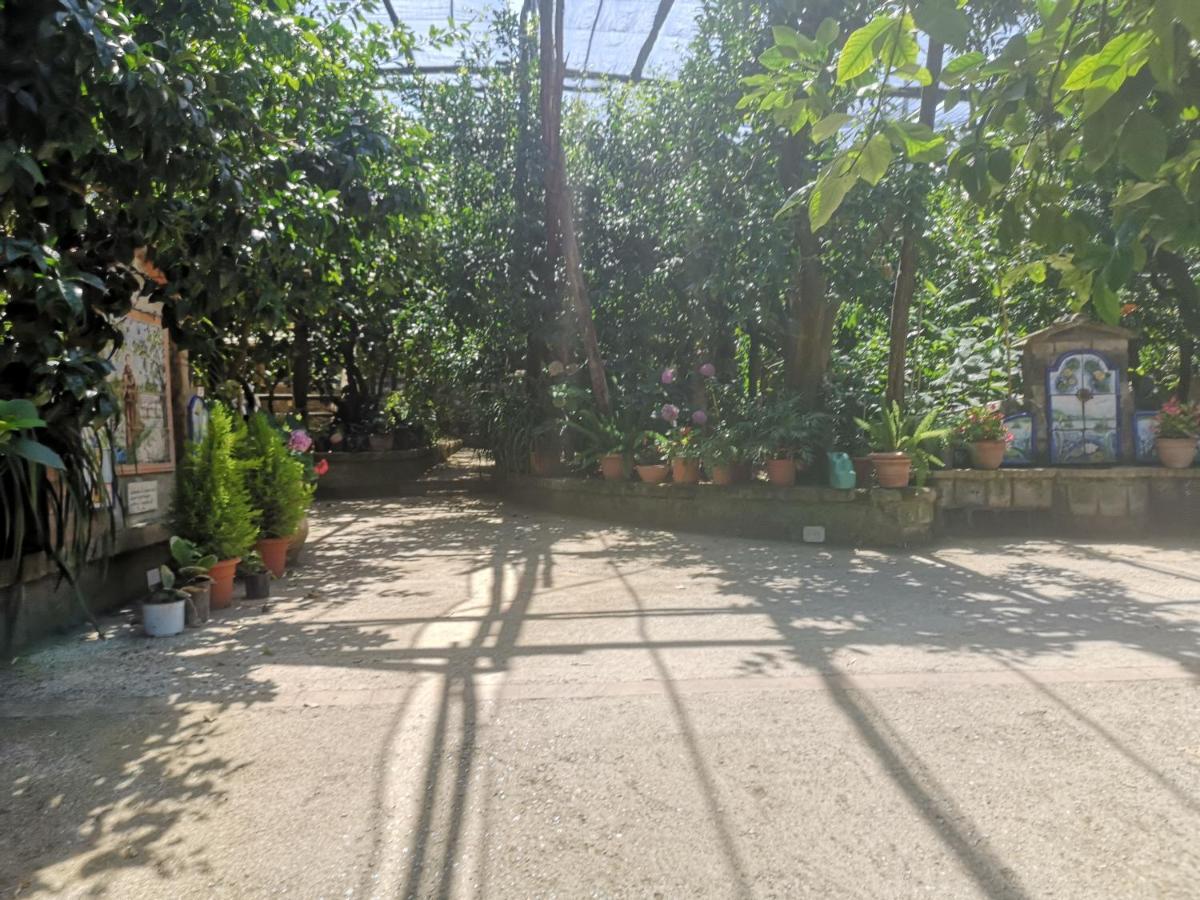 Agriturismo Il Giardino Di Vigliano Massa Lubrense Dış mekan fotoğraf