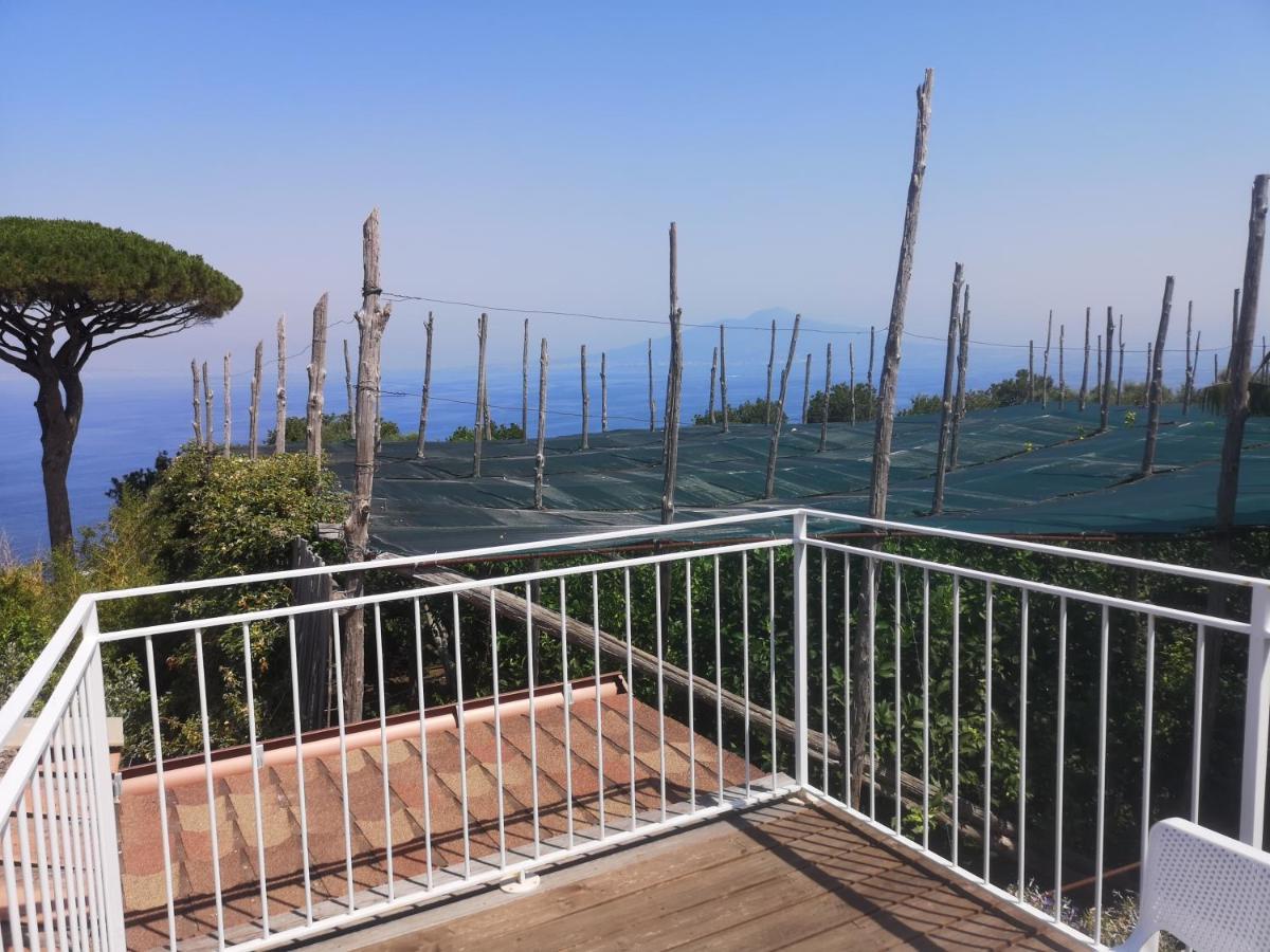Agriturismo Il Giardino Di Vigliano Massa Lubrense Dış mekan fotoğraf