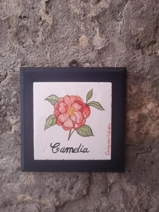 Agriturismo Il Giardino Di Vigliano Massa Lubrense Dış mekan fotoğraf