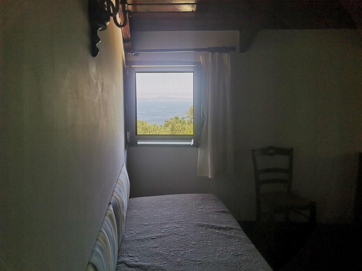Agriturismo Il Giardino Di Vigliano Massa Lubrense Dış mekan fotoğraf