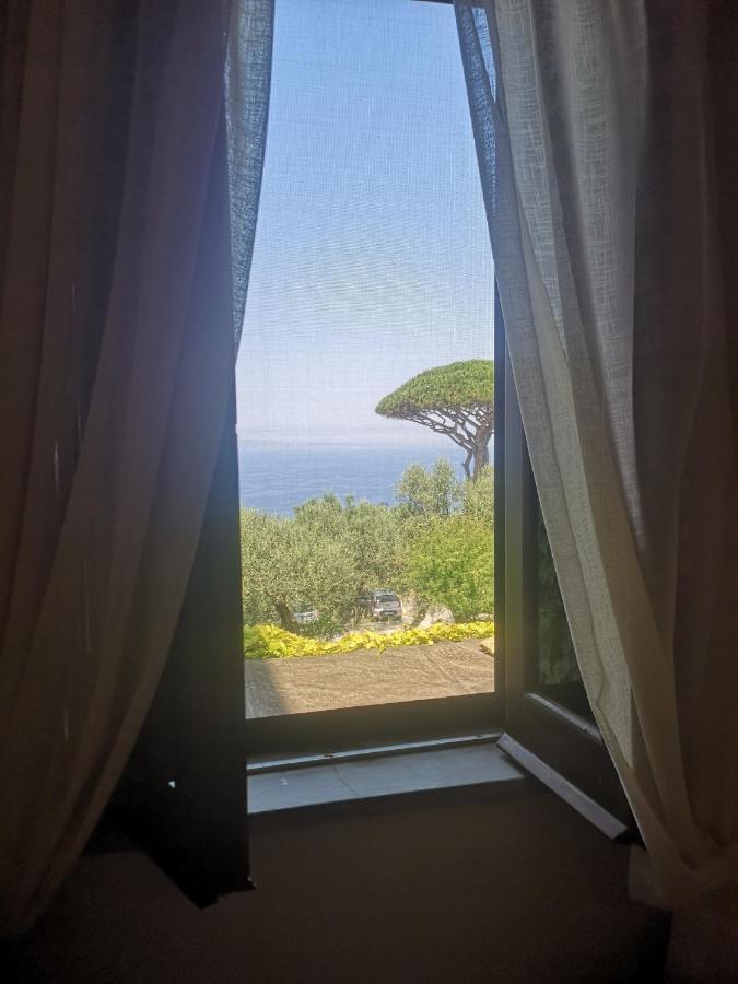 Agriturismo Il Giardino Di Vigliano Massa Lubrense Dış mekan fotoğraf